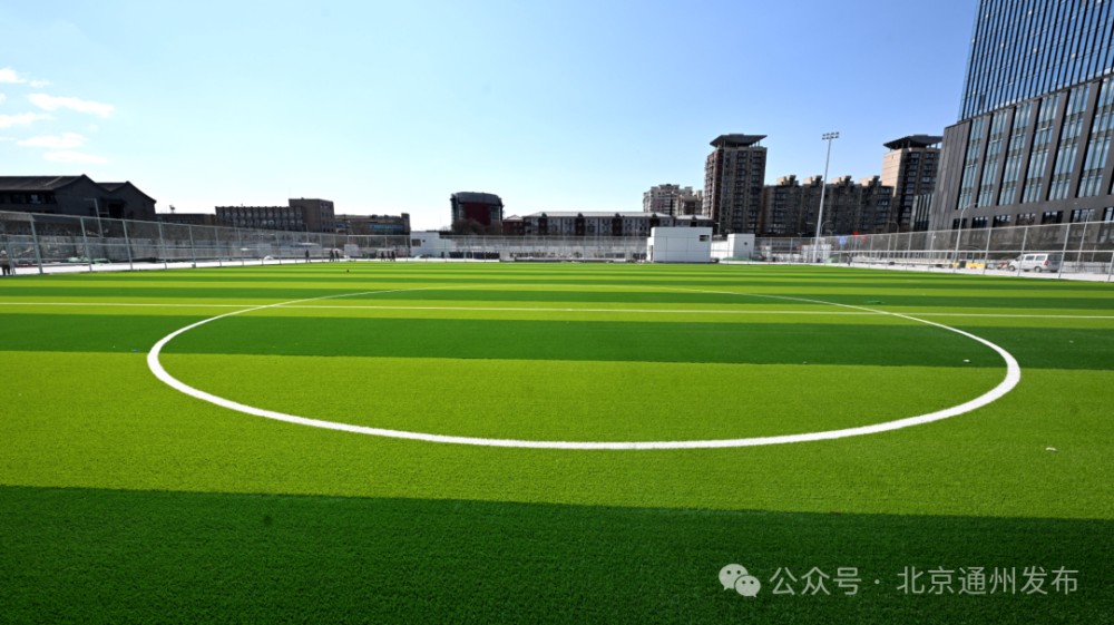 制定篮球交流计划以促进个人技能发展的方法_2